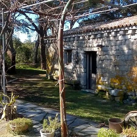 Agriturismo La Vigna Tempio Pausania Eksteriør billede