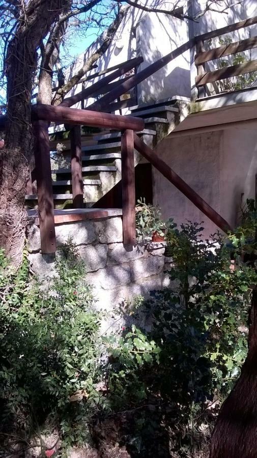Agriturismo La Vigna Tempio Pausania Eksteriør billede