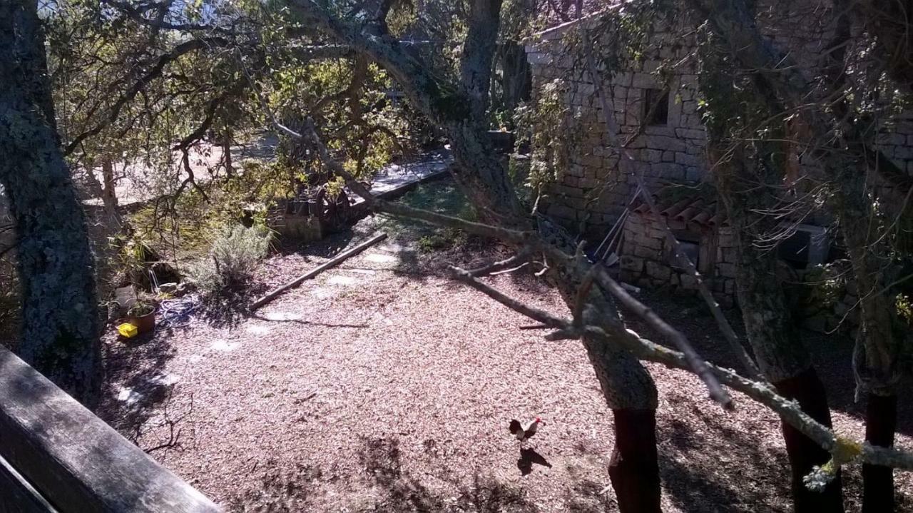 Agriturismo La Vigna Tempio Pausania Eksteriør billede