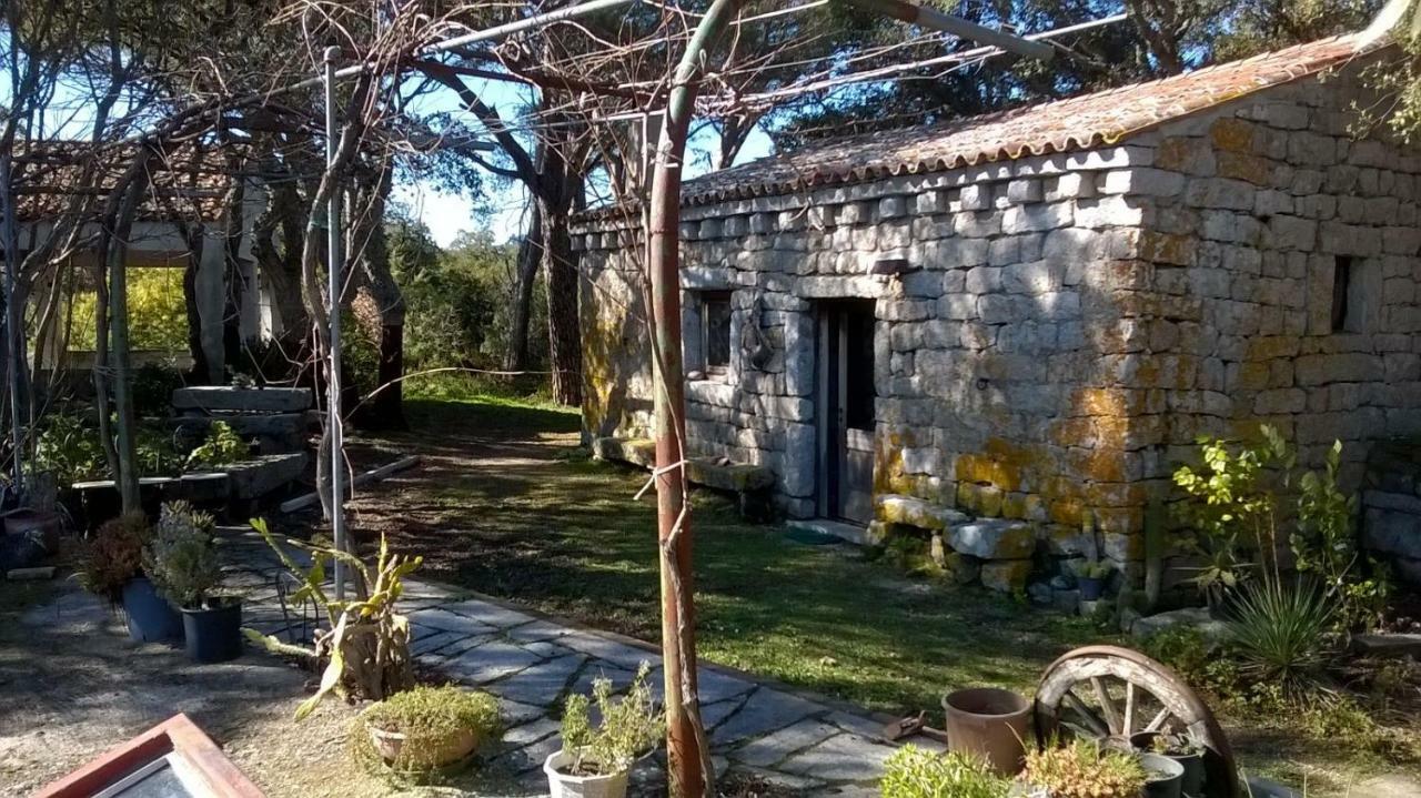 Agriturismo La Vigna Tempio Pausania Eksteriør billede