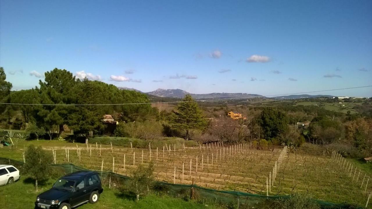Agriturismo La Vigna Tempio Pausania Eksteriør billede