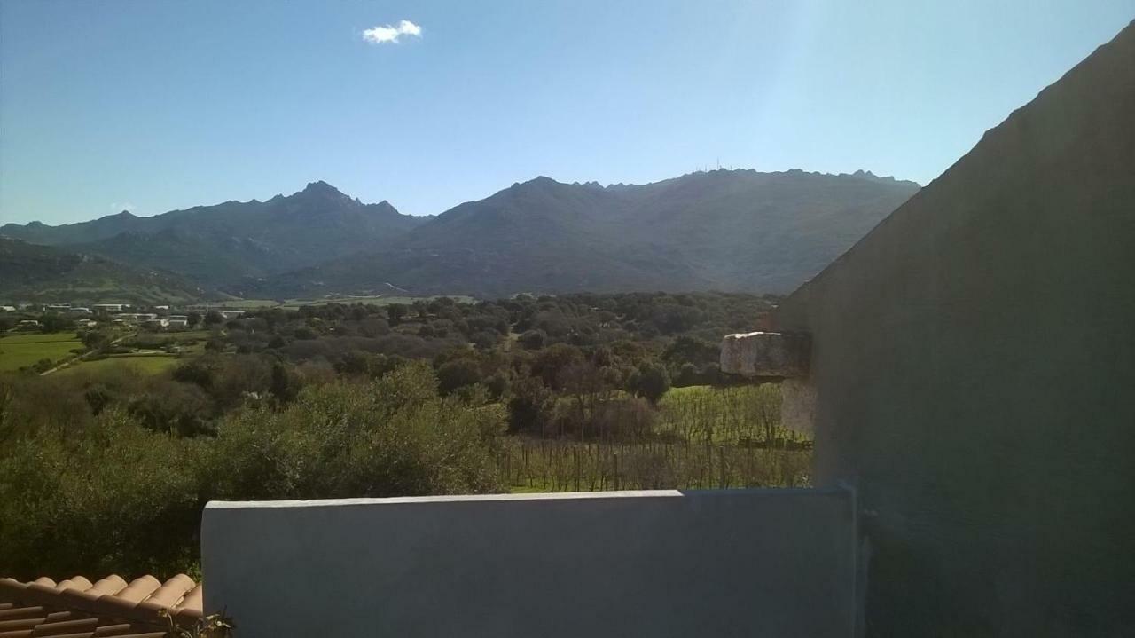 Agriturismo La Vigna Tempio Pausania Eksteriør billede