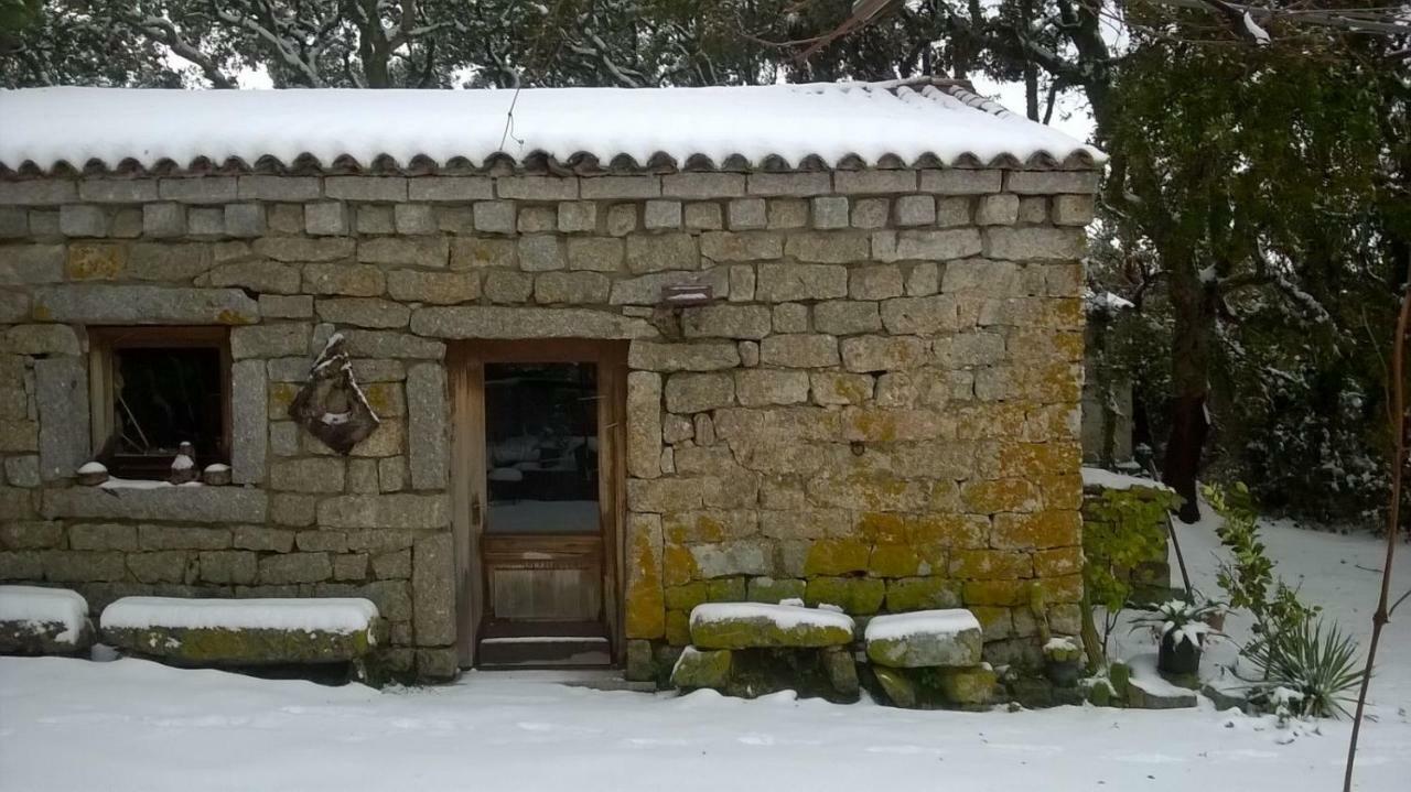Agriturismo La Vigna Tempio Pausania Eksteriør billede