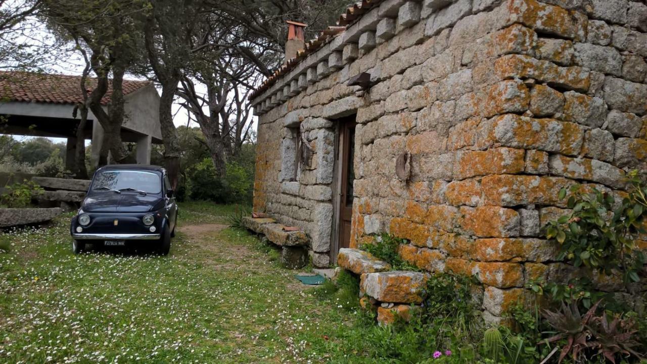 Agriturismo La Vigna Tempio Pausania Eksteriør billede