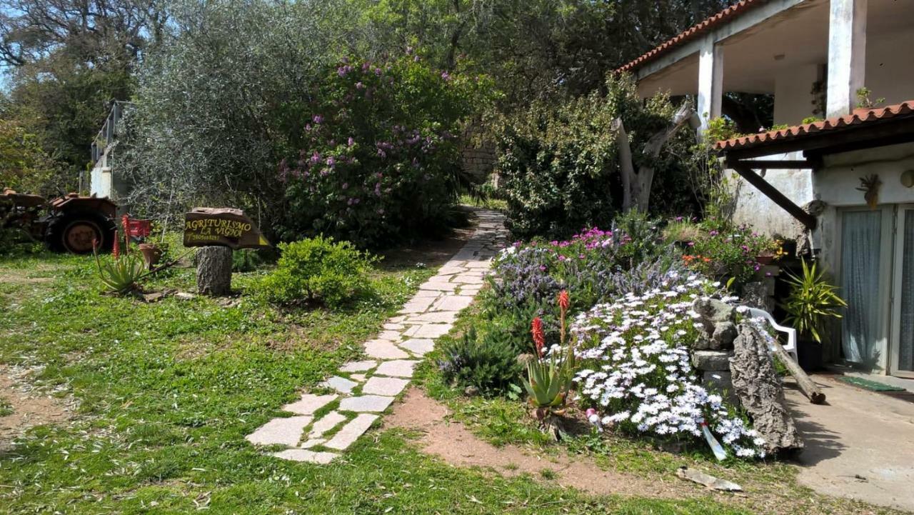 Agriturismo La Vigna Tempio Pausania Eksteriør billede